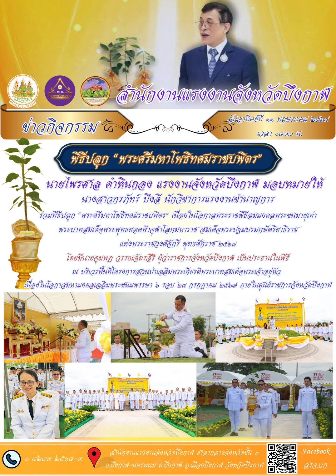 Mol-Thailand